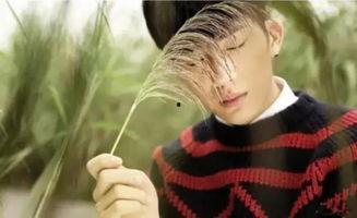 井柏然谈娱乐圈,真实与虚幻的交织  第2张