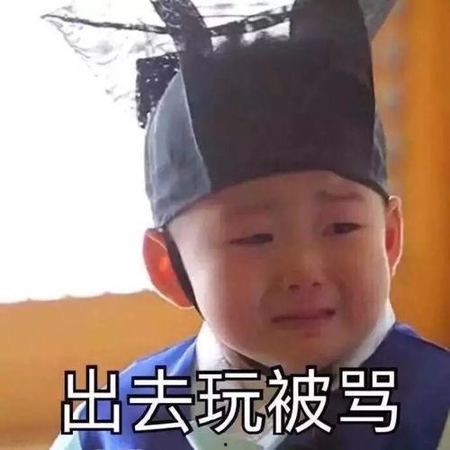 骂tt表情包,网络时代的幽默与讽刺  第2张