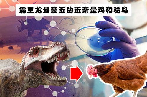 恐龙 搞笑知识,那些让人捧腹大笑的恐龙趣闻  第2张